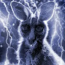 RooZombie's Avatar